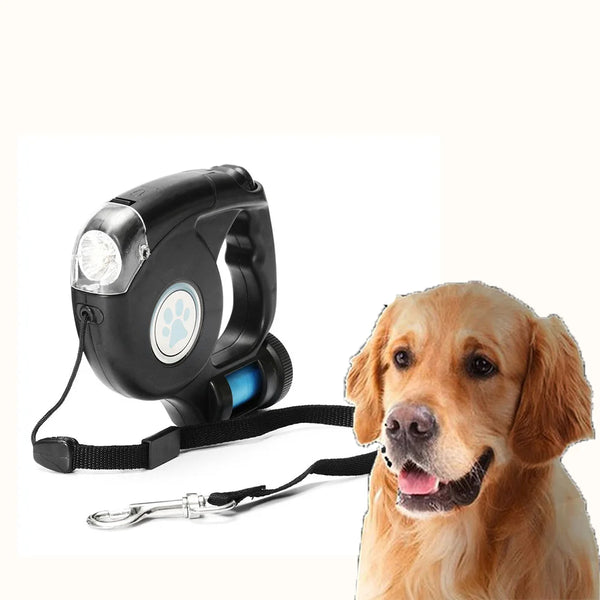 Night Walk Pet Leash Combo